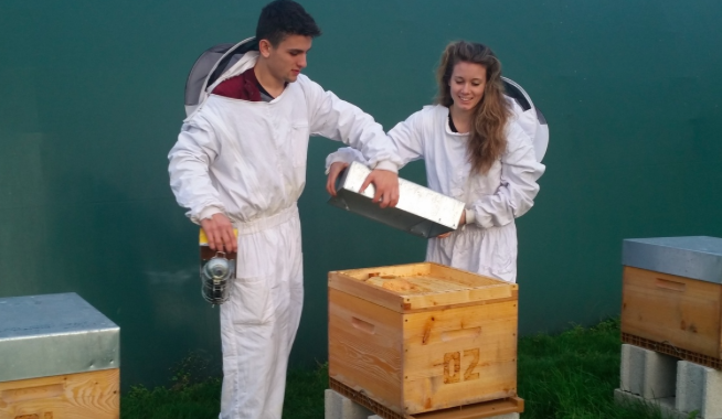 financement-apiculteur-abeilles